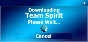 download team spirit